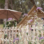 location naturiste belezy lodge