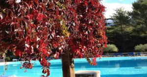 piscine belezy