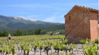 belezy-mont-ventoux