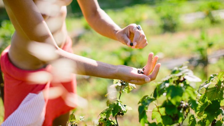 conseils-naturiste