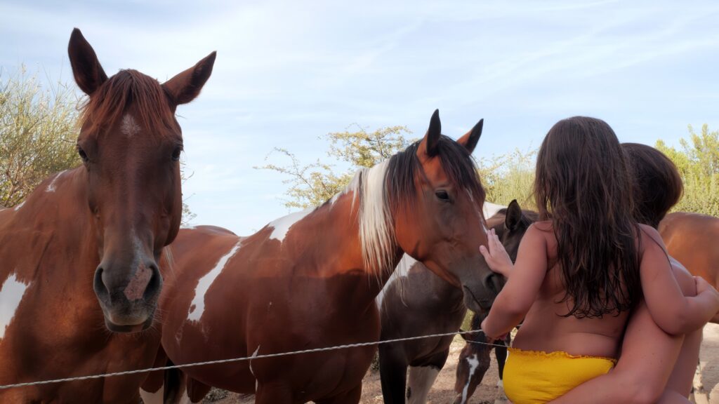 camping naturiste messidor