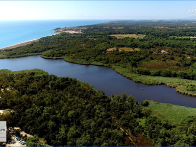 Découverte de Bagheera sur les bords de la Méditerranée