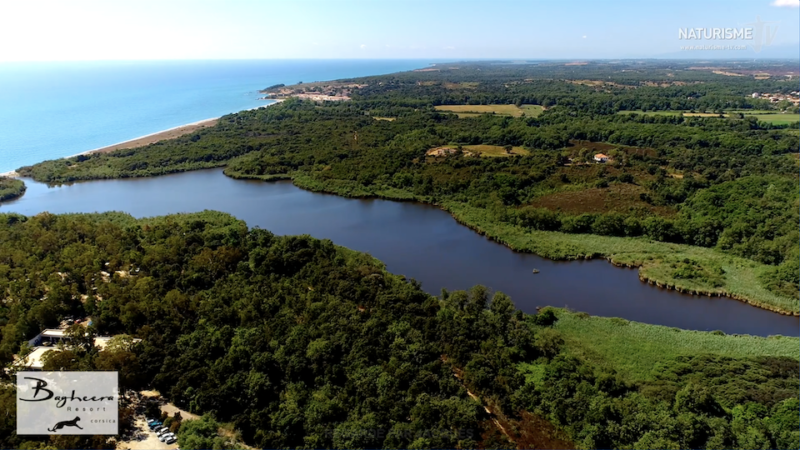Découverte de Bagheera sur les bords de la Méditerranée