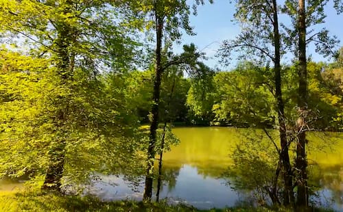 Nature omniprésente au camping Devèze