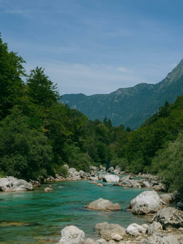 camping-naturiste-riviere