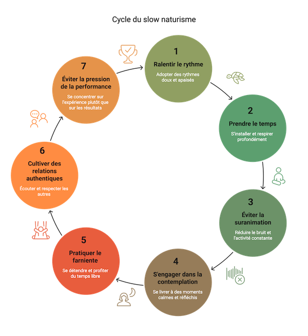 infographie: cycle du slow naturisme