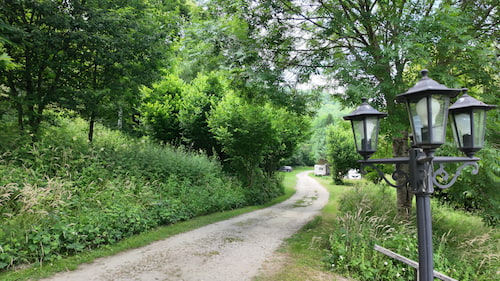 Vue d'une clairière au coeur du camping naturiste Millefleurs en Ariège